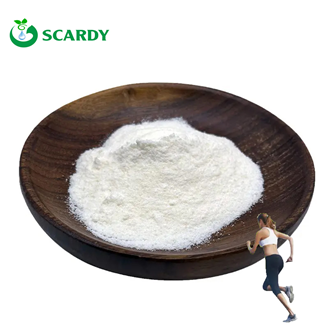 Creatine Monohydrate Powder